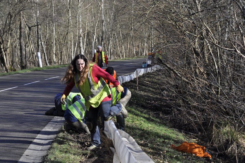2013 02 25 Montage du crapaudrome 12